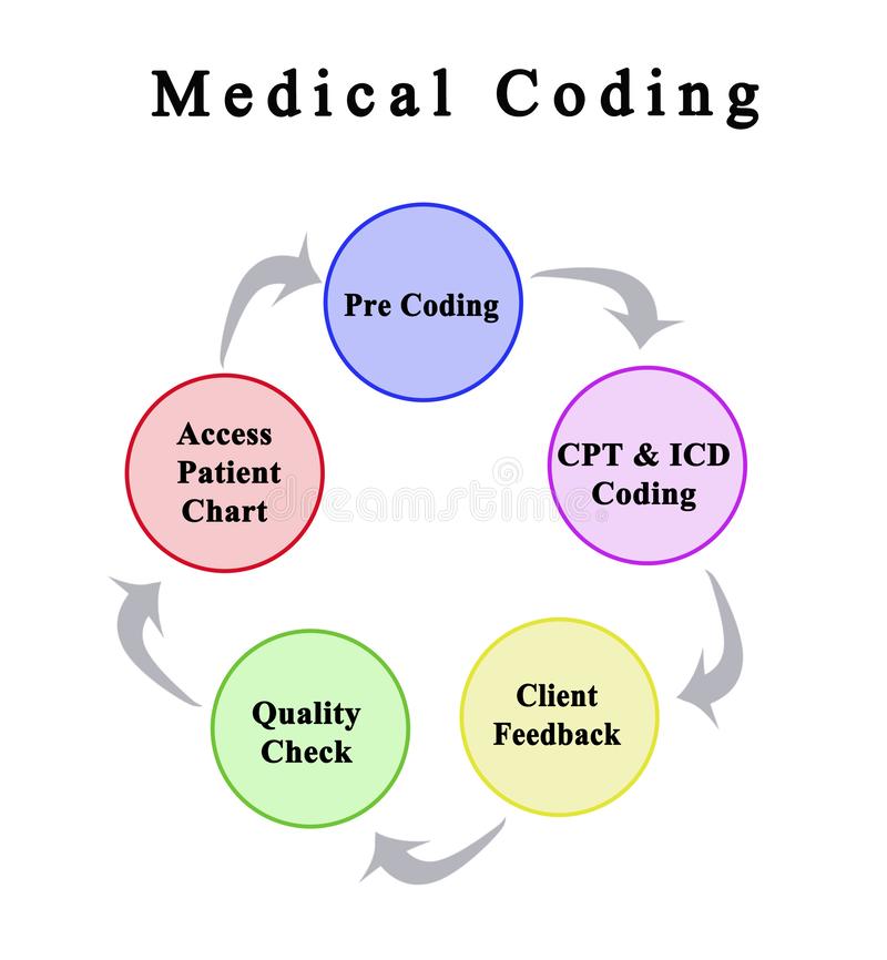Medical Coding workflow — Pre Coding, CPT & ICD Coding, Client Feedback, Quality Check, Access Patient Chart